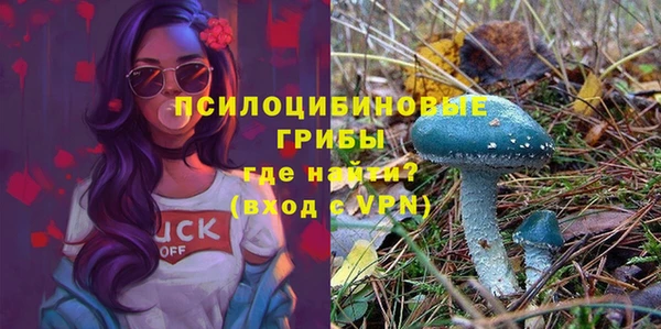 соль ск Карталы