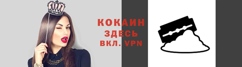 кокс Аркадак