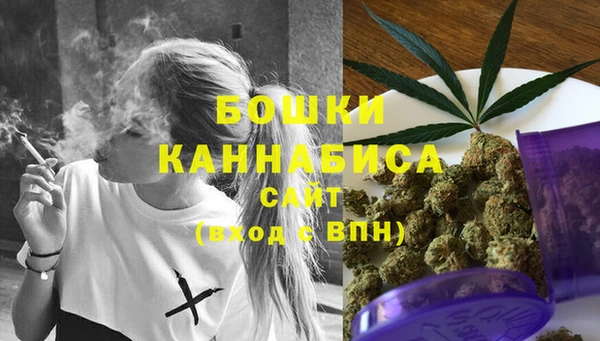 бутират Арсеньев