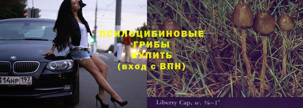 твердый Касимов