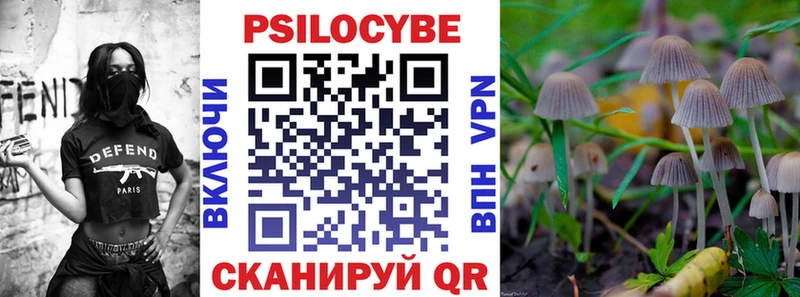kraken вход  Соль-Илецк  Галлюциногенные грибы мицелий 